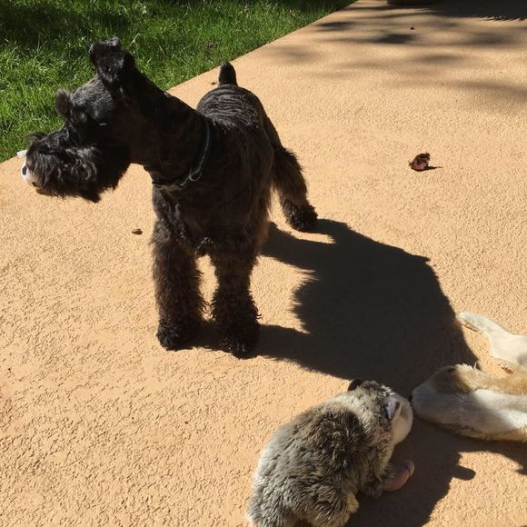 Meet your Posher, David - Picture 1 of 1